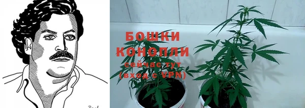 прущий лед Аркадак