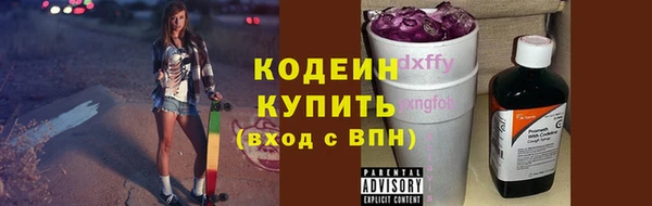 сатива Покачи