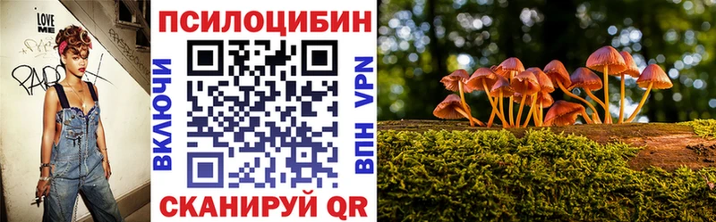 Галлюциногенные грибы прущие грибы  Рославль 